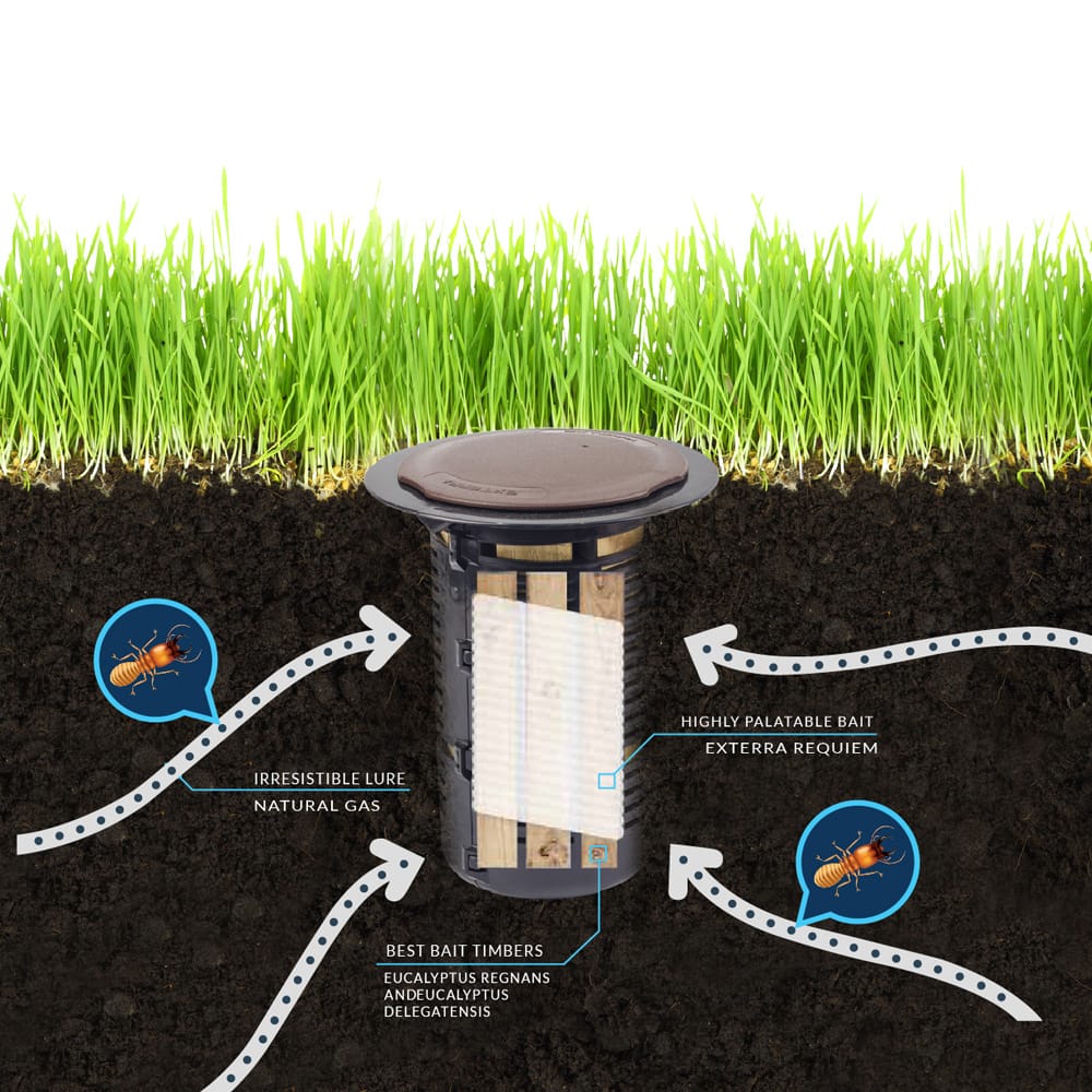 In-ground termite baiting system used for termite prevention in Kings Forest NSW